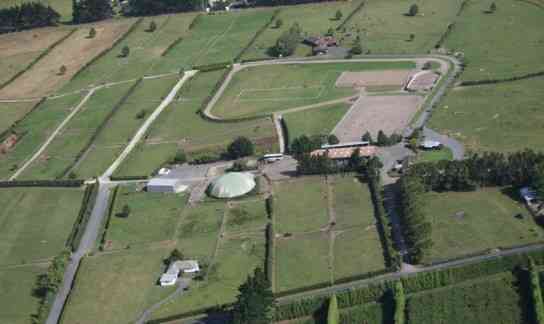 Some of the equine facilities.jpg